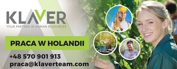 Holandia - praca na produkcji od zaraz bez doświadczenia, kwiaty,owoce
